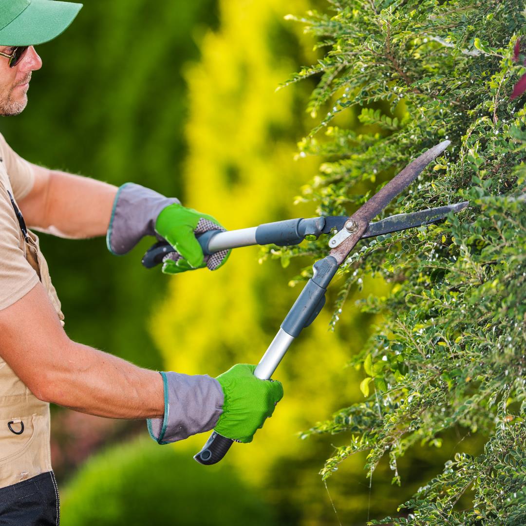 Horticultural Garden Maintenance Business