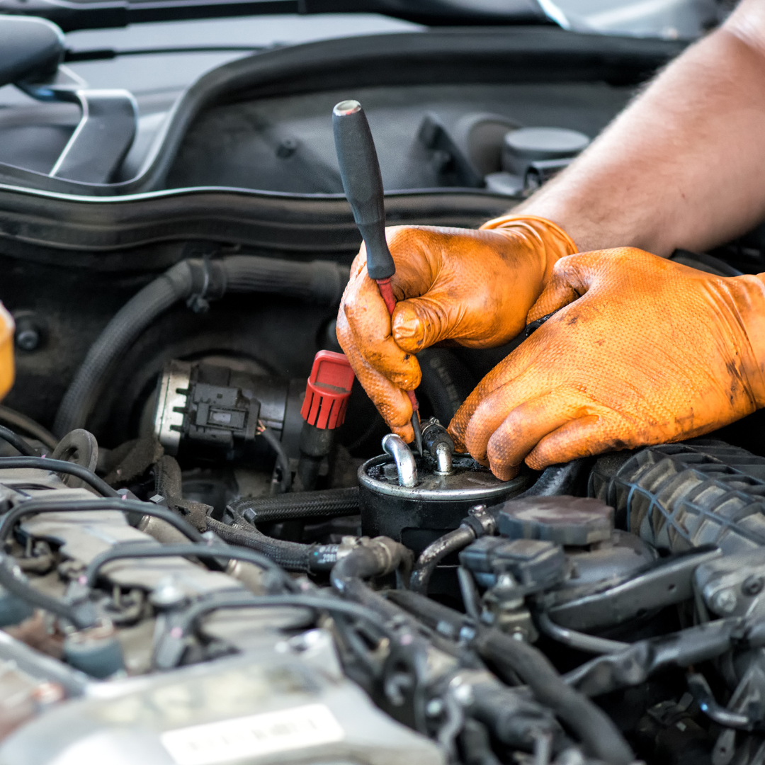 Fully Equipped Auto Service Centre in Brendale For Sale