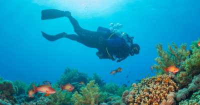 Coming Soon - Scuba Diving Business - Bali